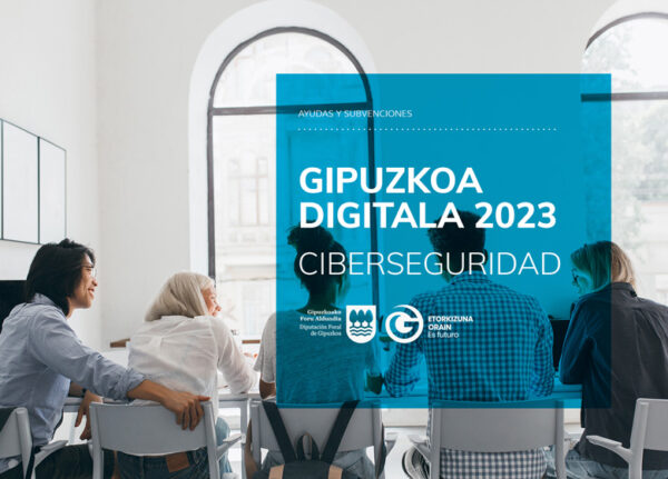 300.000 euroko aurrrekontua du Gipuzkoa Digitala: Zibersegurtasuna izeneko programak. Gipuzkoako Foru Aldundiak bultzatuta, zibersegurtasuna industria-enpresen artean sustatzea du helburu.